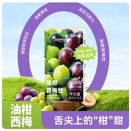 Oil Orange Plum Drink Plum Juice Meal Savior Liquid Salad Drink Fruit Vegetable Enzyme Drink WJG