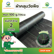 GRASSYLAND ผ้าคลุมดินกันวัชพืช (พลาสติกคลุมหญ้า) ตรา GRASSY / หน้ากว้าง 2 เมตร  น้ำหนัก 100 แกรม