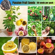 Biji Benih Buah Markisa Passion Fruit Plant Seed（50 Pcs/bag）benih Markisa Merah Seed Nutritious Deli