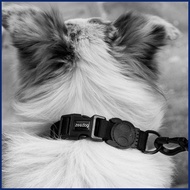 Zeedog Dog Collar (Gotham)
