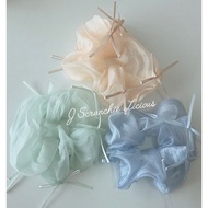 Scrunchie  : The Princess Ribbon Series