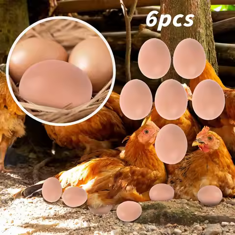 Fake Chicken Eggs Plastic Eggs Help Hens Lay Eggs Poultry Hatching Simulated Hen Eggs Faux Poultry E