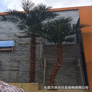 Fake Herringbone Manufacturer Palm Tree Artificial Artificial Palm Tree Palm Tree Artificial Outdoor