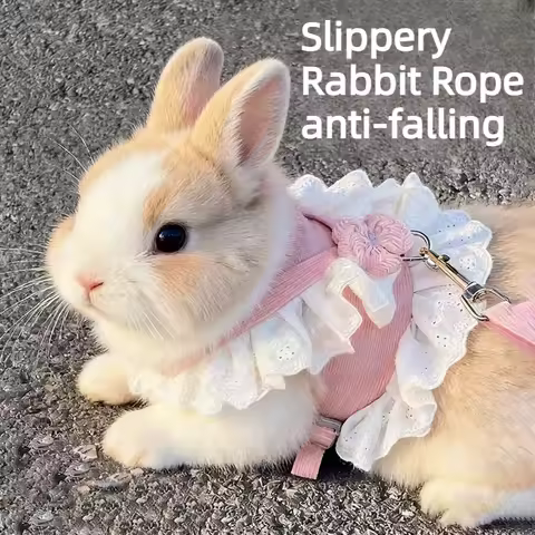 Cute Rabbit Harness Leash Set Anti-bite Bunny Vest Harnesses Rabbit Little Dwarf Leashes for Outdoor