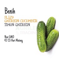 BENIH Baby Timun Gherkin Cucumber Seeds 小黄瓜籽 种子