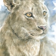 Cool lioness artwork hand painted Watercolor painting on paper