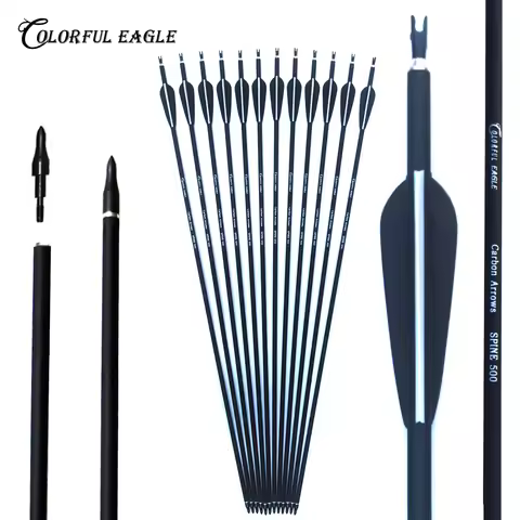 28/30/31 Inches Carbon Arrows Archery Hunting Spine 500 with Replaceable Arrowheads for Recurve Comp