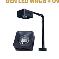 ATVT- 75W box light