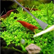 Aquascape Stainless Steel Sand Substrate Scraper