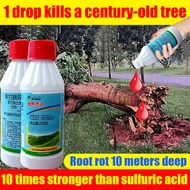 1 drop kills a century-old tree！ racun pokok paling kuat tree killer racun mati pokok racun pokok ka