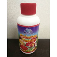 Aqua First Chlorine Tester / Water Tester