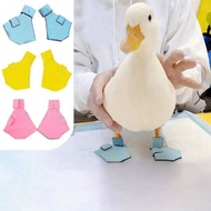 New Duck Goose Shoes Pet Duck Cole Duck Foot Bird Boots Special Protective Shoes Duck Feet One-Pair 
