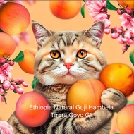 [Jiatang Coffee] Ethiopia Sun-Dried Guji Hambella Varmina Town Martylan G1 Coffee Beans