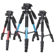 ZoMei ZoMei Tripod Q111 SLR Stand Camera Tripod Photography Live Tripod Stand Gimbal