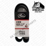 8PK 975 FAN BELT 8PK 975