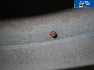 ยางมือสอง 225 45 r18 HANKOOK ปี2022 ราคาต่อเส้น