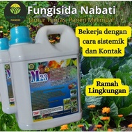 SALE [M23 FUNGISIDA NABATI] FUNGISIDA SISTEMIK DAN KONTAK PEMBASMI