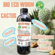 ปู๋ย Cactus แคคตัส (cactus fertilizer) น้ำหมักชีวภาพ 🌵กระบองเพชร🌵 ไม้อวบน้ำ เพิ่มหัว เร่งดอก ใช้งานง่ายเห็นผลชัดเจน