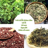Guava Leaf Tea Set 20 packs