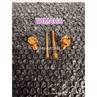 4-PISTON MONOBLOCK CALIPER VARIATION BOLT YAMAHA 4-PISTON MONOBLOCK CALIPER BOLT/