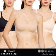 Wacoal Smart Size Non-Wired Bra 15 Mm Foam Padding (Set Of 3 Pieces) Model WB5Y01/WB5301