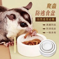 [Yamiya Yamiya] Reptile Escape-Proof Food Bowl Chow Chow Chow Fat Tail Gecko Supplies Reptile Food B