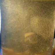 vinegar eel  baby fish food