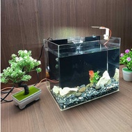 Jumbo Aquarium 30x20x25 Cm with 3 mm Acrylic Aquarium Filter