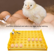 (ของอยู่ไทยพร้อมส่ง) ฟักไข่ ถาดฟักไข่ 56ฟอง ถาดผลิกไข่ กลับไข่อัตโนมัติ สำหรับตู้ฟักไข่ไก่ ไข่เป็ด ไข่หาน 220V
