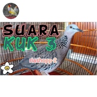 Burung Tekukur Kuk 3 Sultan Super Istimewa Mewah Langka