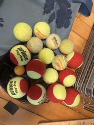 兒童網球- tennis ball -Prince, Head, Wilson