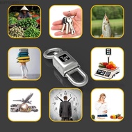 HSV Metal Keychain Weighing Device Compact Design 25kg Capacity Digital LCD Display Perfect For Lugg