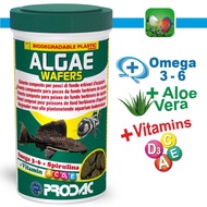 Food for bottom fish, rat fish, pleco,...