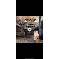 EM Agromangkin Ternakan 8L