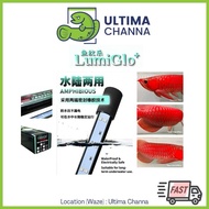 Lumiglo+ Competition Grade Aquarium LED Light LG+ for arowana goldfish koi channa submersible lampu 