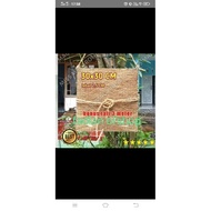 30x30 cm wall-mounted pot