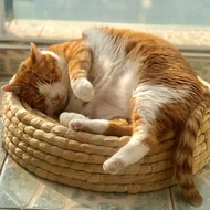 [พร้อมส่งจากไทย]กระทะแมว ที่นอนแมวเย็น ชามแมว อลูมิเนียม เย็น คลายร้อน ไม่อับชื้น/pidan