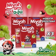 โปรโมชั่น 3 กล่อง Miyahgro วิตามินแร่ธาตุสร้างภูมิคุ้มกัน ช่วยเจริญอาหารสำหรับเด็ก ขนาด 100g.