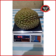 Durian Montong Utuh / Duren Montong Fresh 4Kg Original Best Seller