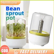 Bean Sprout Seedling Trays Transparent Automatic Sprout System for Vegetable Seed Observation Box Co
