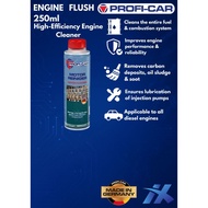 PROFI - CAR ENGINE FLUSH 250ML