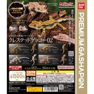 ［現貨］扭蛋 The Diversity of Life on Earth CRESTED GECKO 02 / 大圖鑑系列  睫角守宮 第2彈（1套4款）