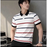 [A87] ELEGANT, ELEGANT, ELEGANT COLOR STRIPED POLY FABRIC POLO T-SHIRT