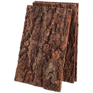 3件組樹皮軟木平台爬行動物飼養箱裝飾背景，適用於蜥蜴、蜘蛛、倉鼠缸等，尺寸30x20厘米