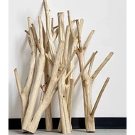 Peeled dried tree branches with branches for decoration