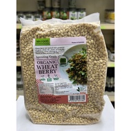 (MH Food ) Organic Wheat Berry