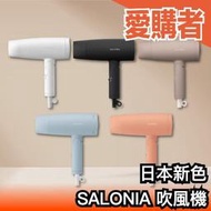 日本新色✨ SALONIA SL-013 折疊式 美型吹風機 負離子 護髮 大風量 速乾 輕量 奶茶色 熱銷 吹頭髮