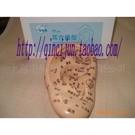 /Model Acupuncture Chinese Acupuncture () 17CM Japanese) (E4BY