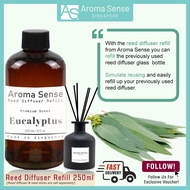 Aroma Sense Eucalyptus Scent Reed Diffuser Refill (250ml)