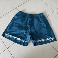 Surfers Paradise Shorts XL Blue